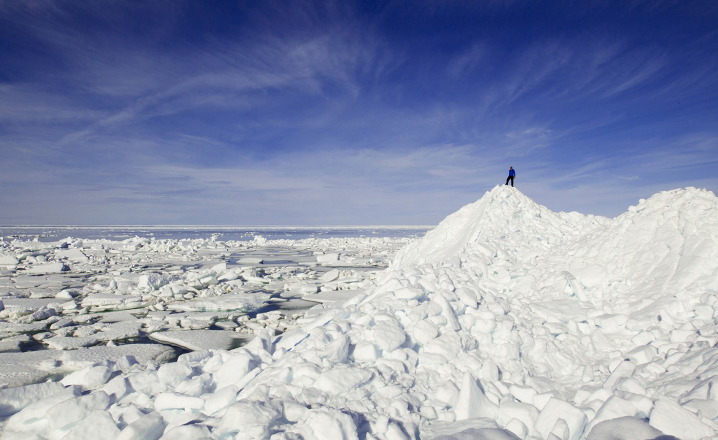 Nunavut/Kanada – Arctic Watch Lodge – Belugawal-Beobachtung