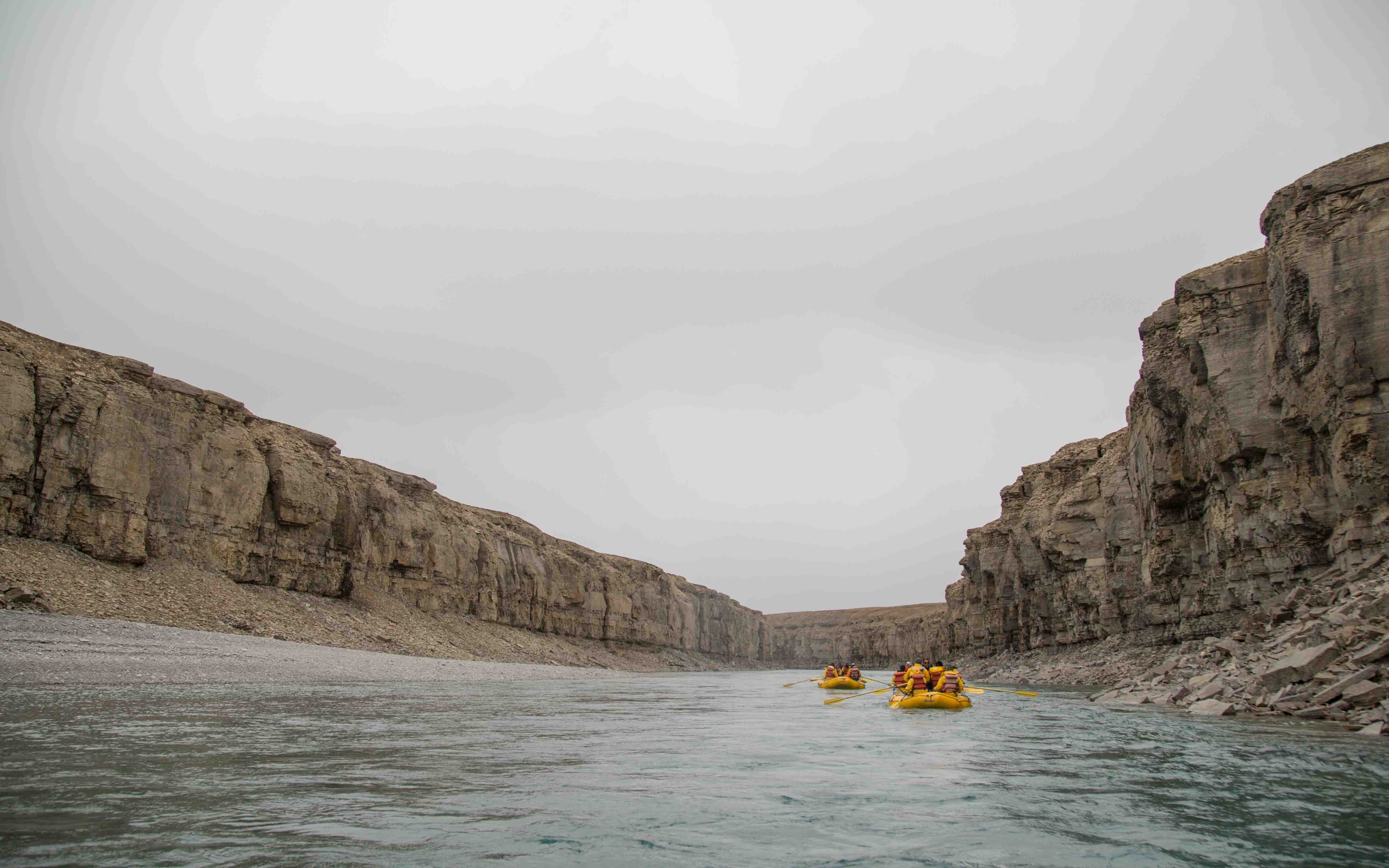 Nunavut/Kanada – Arctic Watch Lodge – Belugawal-Beobachtung