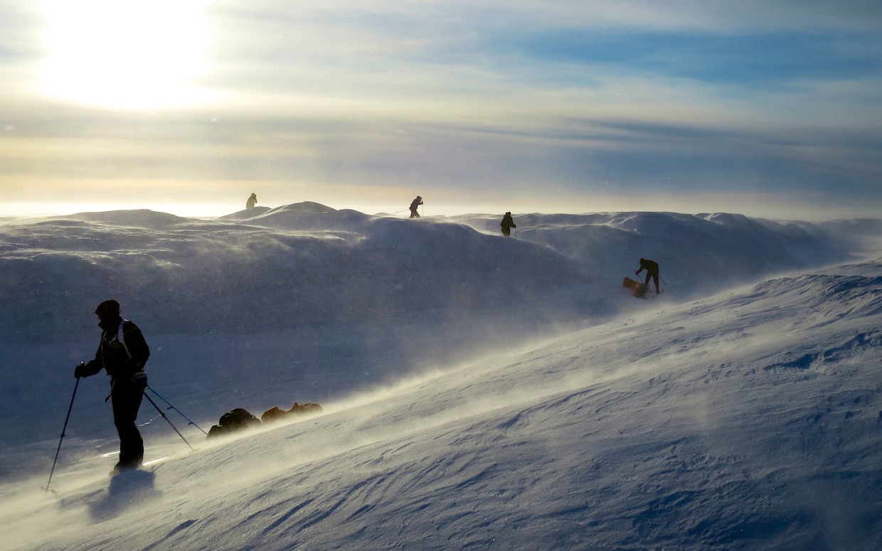 Grönland – Inlandeisdurchquerungen per Ski / Hundeschlitten