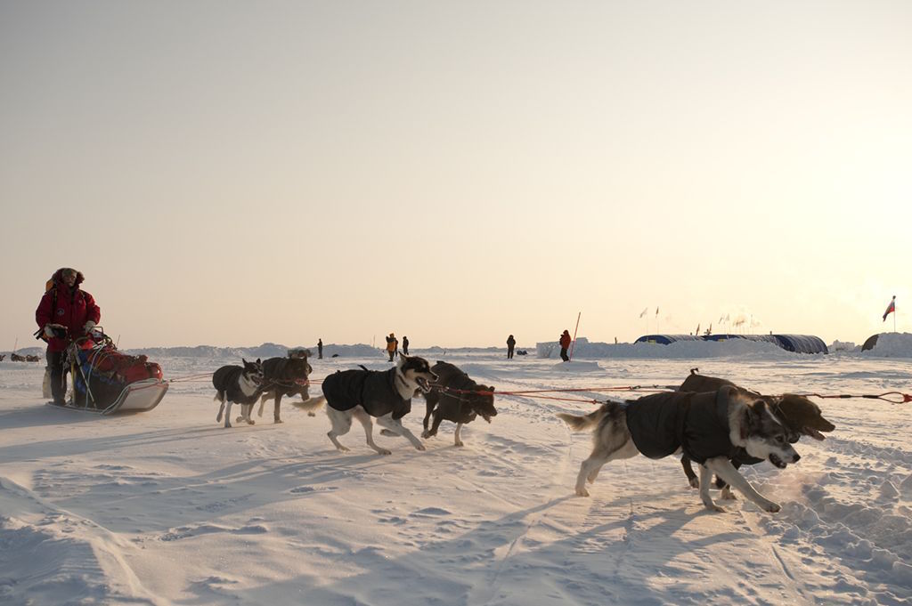 Nordpol per Hundeschlitten ex Murmansk (last degree)