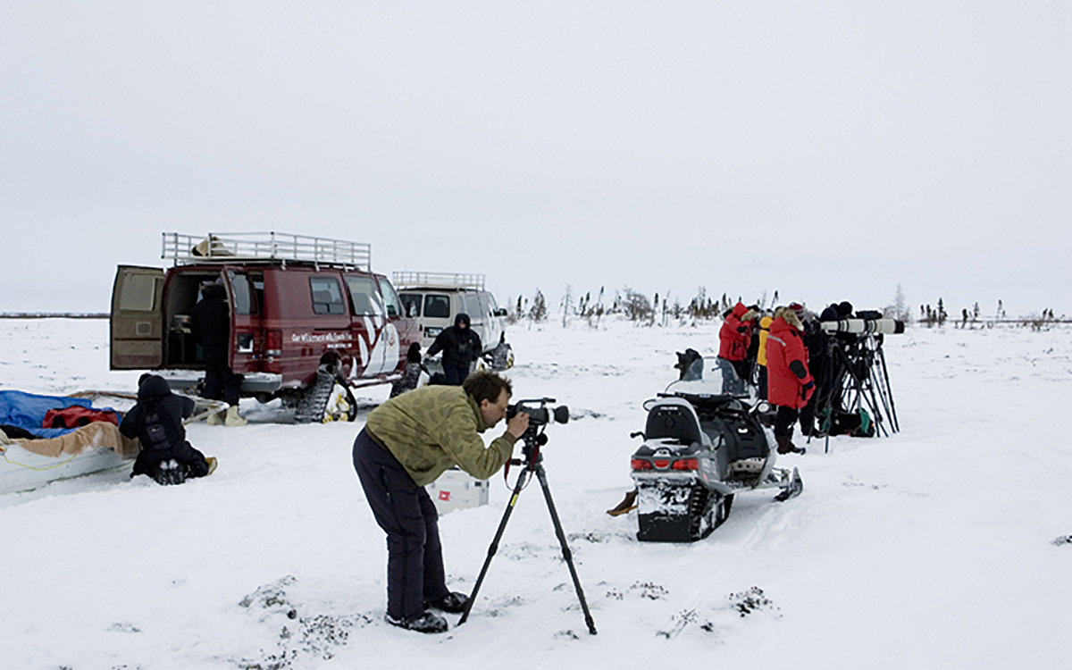 Churchill/Kanada – Watchee Lodge – Eisbärenbeobachtung im Winter