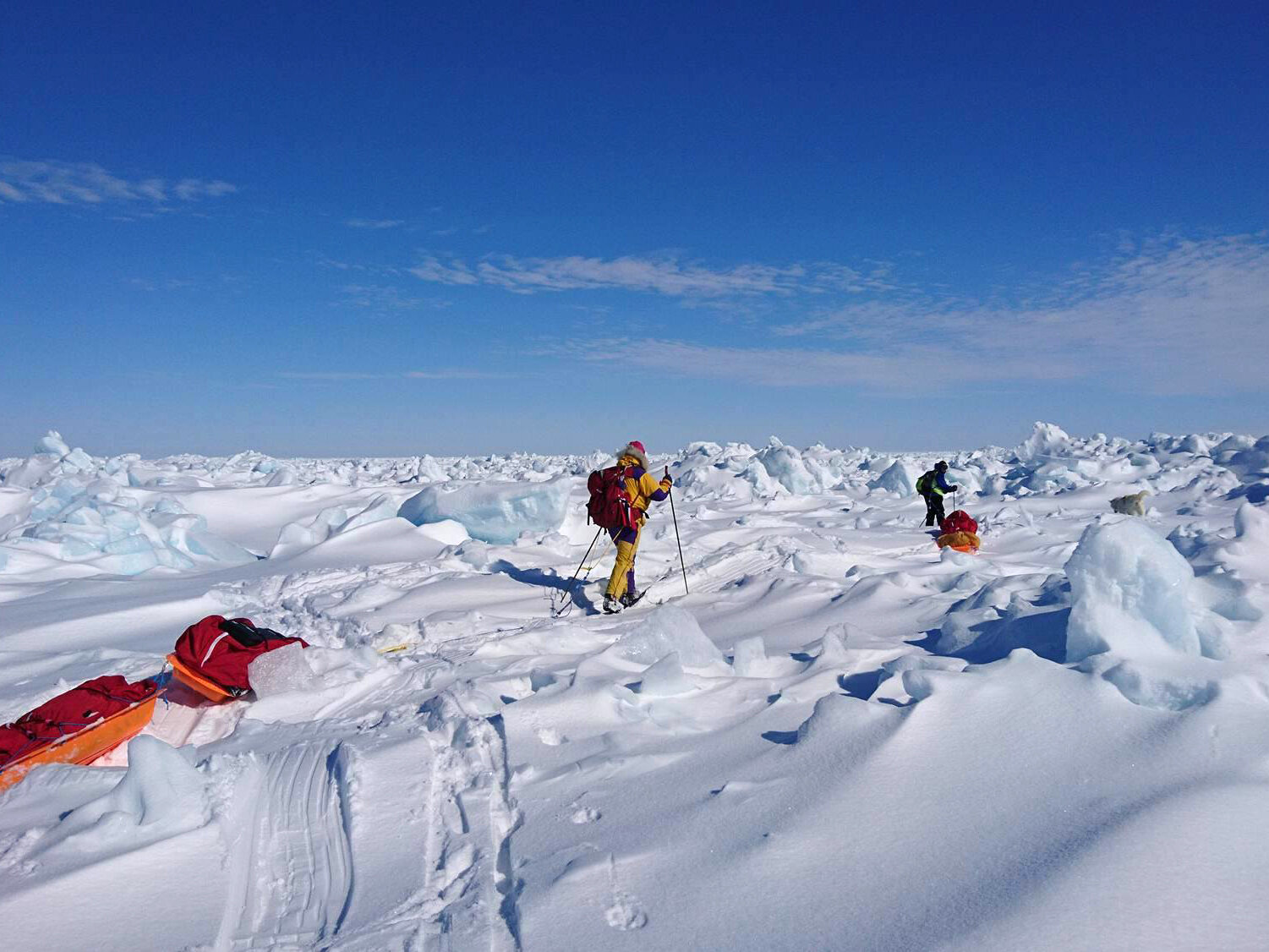 Bild der Flugexpedition NORDWESTPASSAGE PER SKI